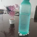 Customer photo using a leaf coaster on a desk